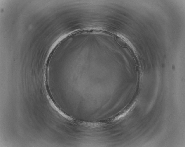 X0000083660941200702261138