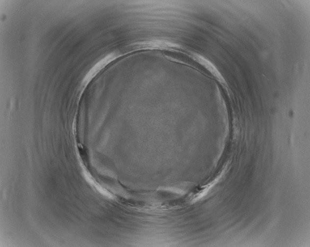 X0000083660946200702261138