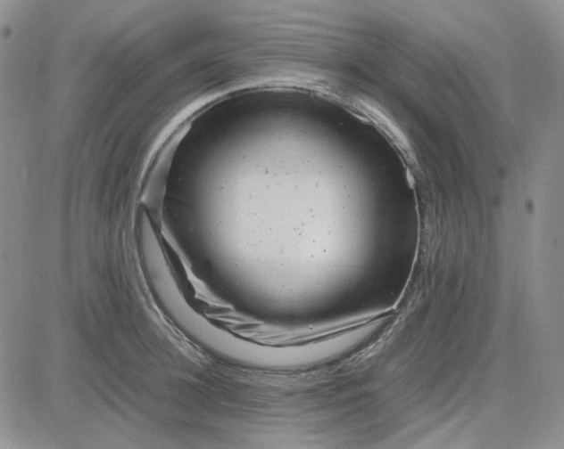X0000083660948200702261138