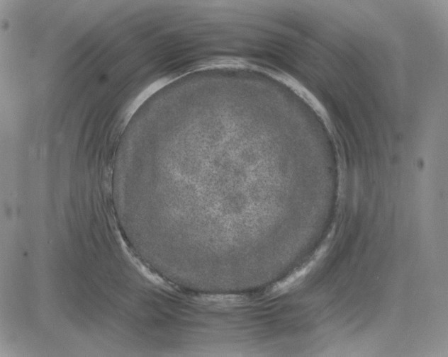 X0000083660953200702261138