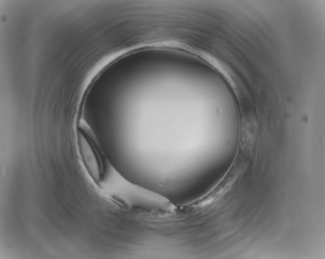 X0000083660959200702261138