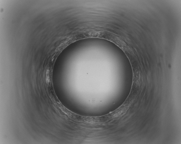 X0000083660962200702261137
