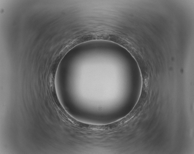 X0000083660963200702261137
