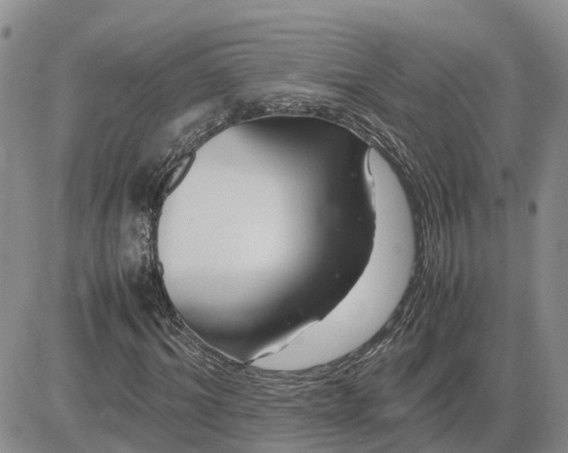 X0000083660964200702261137