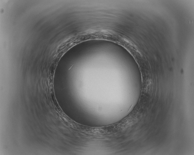 X0000083660966200702261137