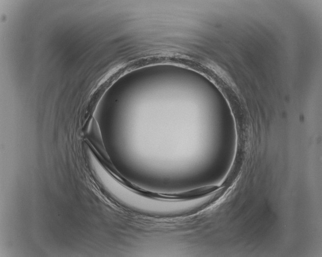 X0000083660969200702261137