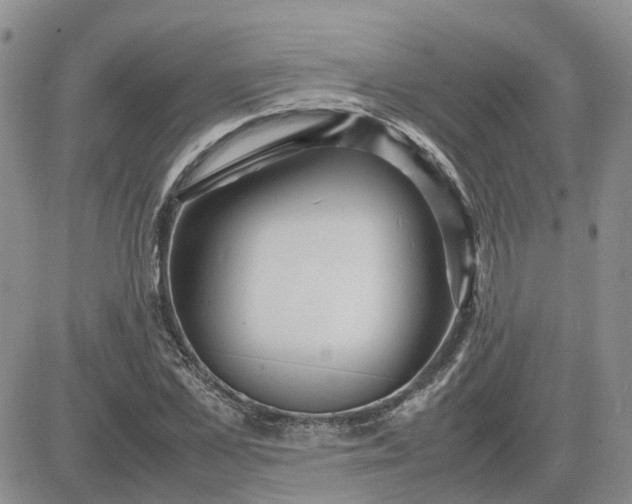 X0000083660973200702261137
