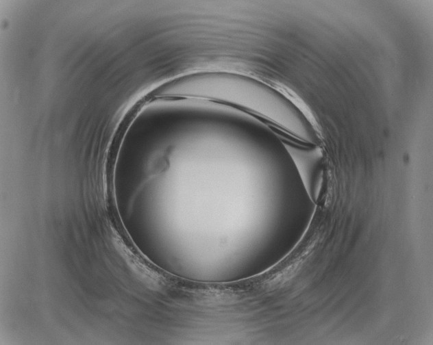 X0000083660980200702261137