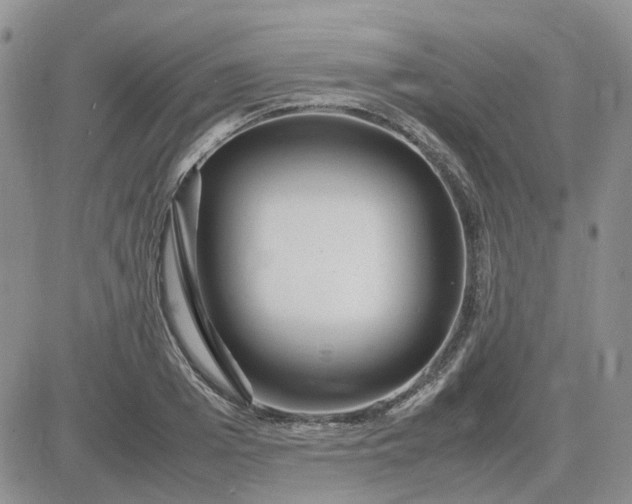 X0000083660985200702261137