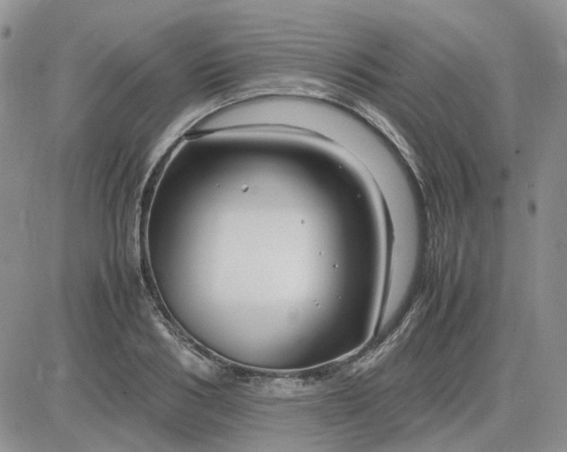 X0000083660986200702261137