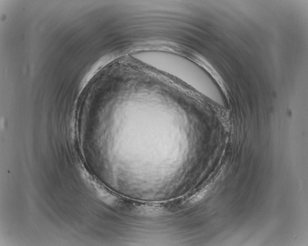 X0000083660994200702261137