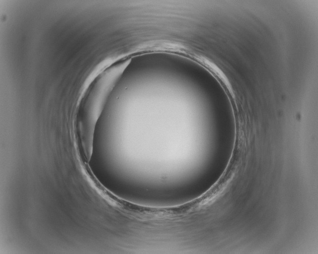 X0000083660997200702261137