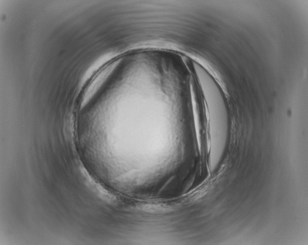 X0000083660998200702261137