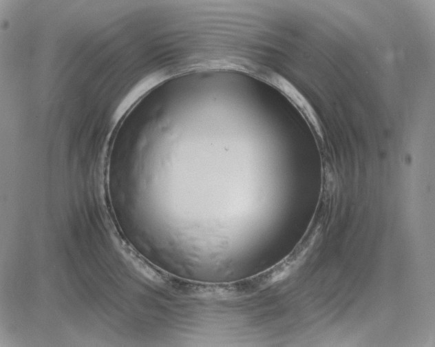X0000083661002200702261137
