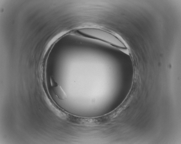 X0000083661003200702261137