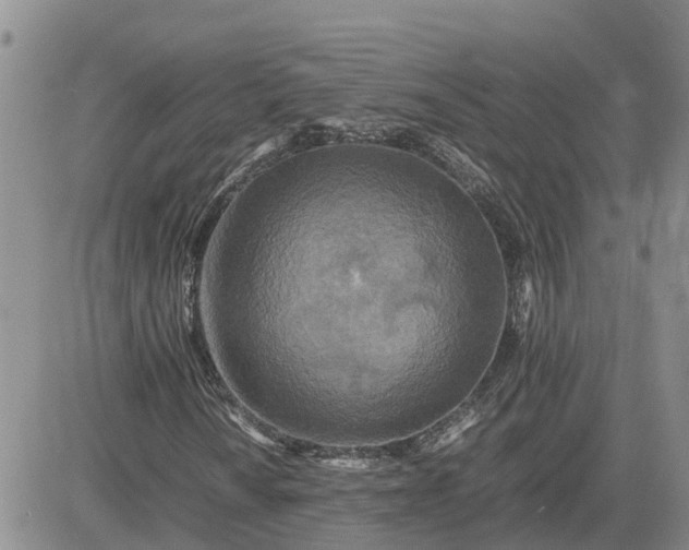 X0000083661010200702261136
