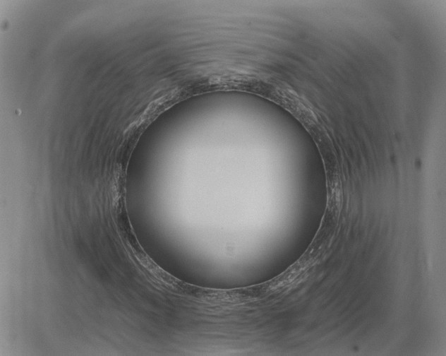 X0000083661012200702261136