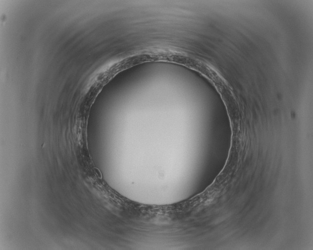 X0000083661016200702261136