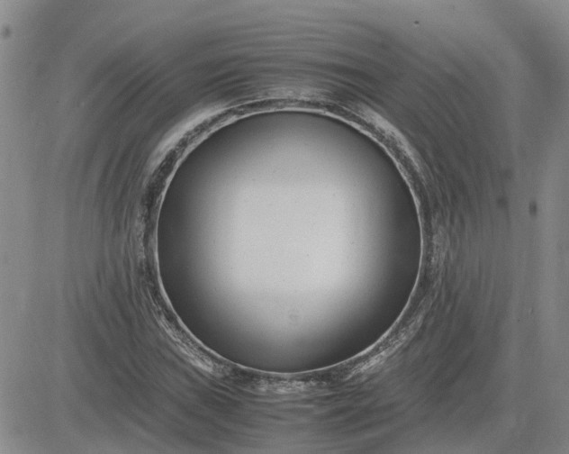 X0000083661019200702261136