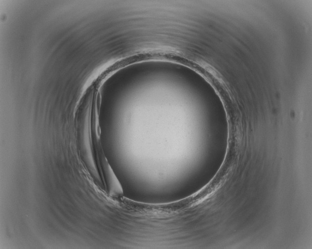 X0000083661022200702261136
