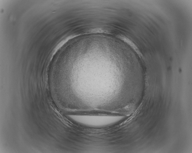 X0000083661023200702261136