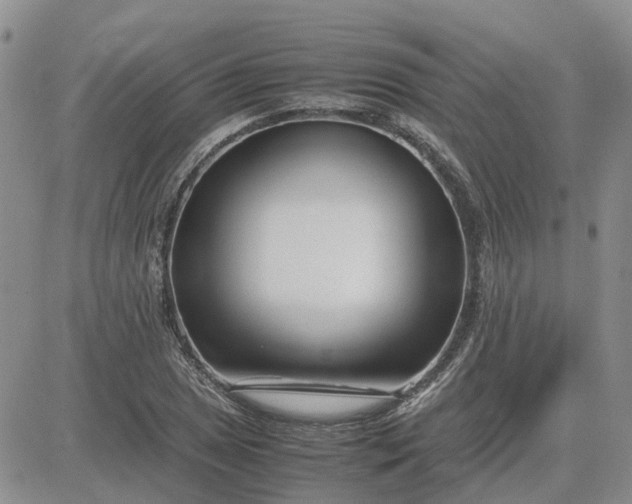 X0000083661025200702261136