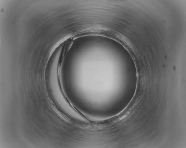 X0000083661026200702261136