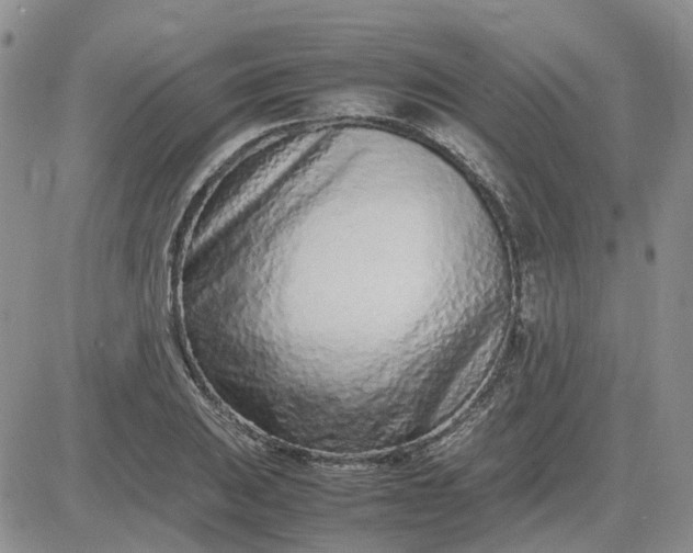 X0000083661031200702261136