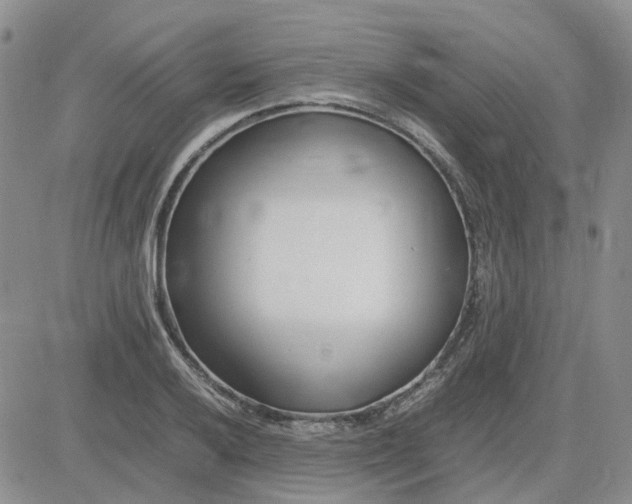 X0000083661032200702261136