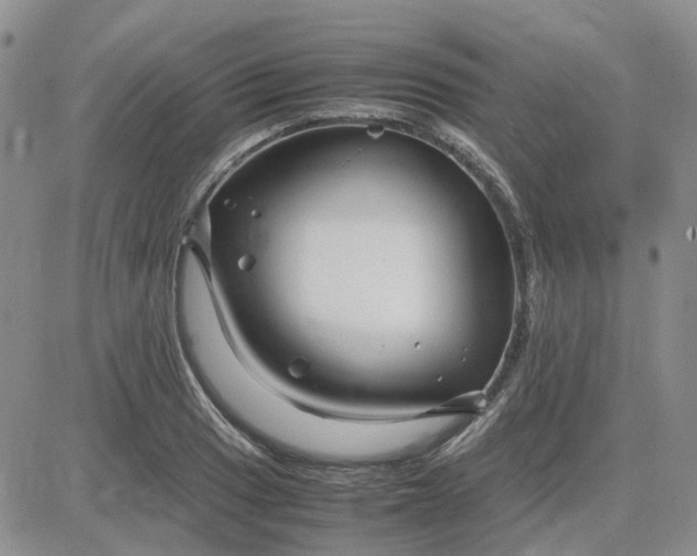 X0000083661033200702261136