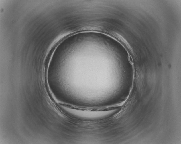 X0000083661035200702261136