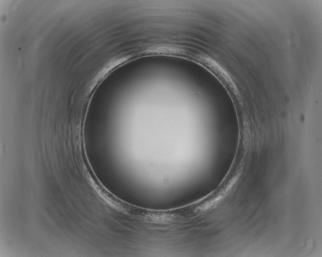 X0000083661041200702261136