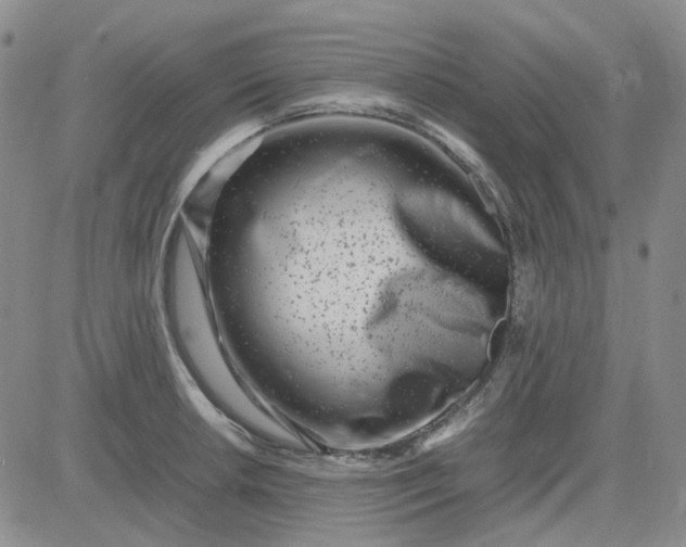 X0000083661042200702261136