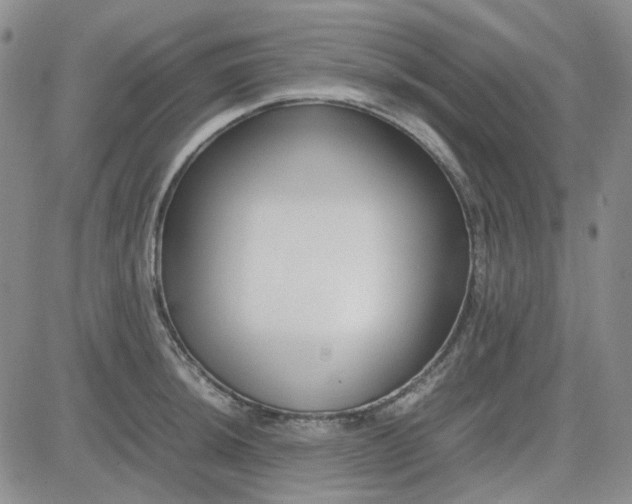 X0000083661044200702261136