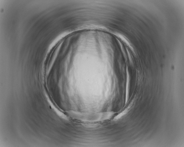 X0000083661046200702261136