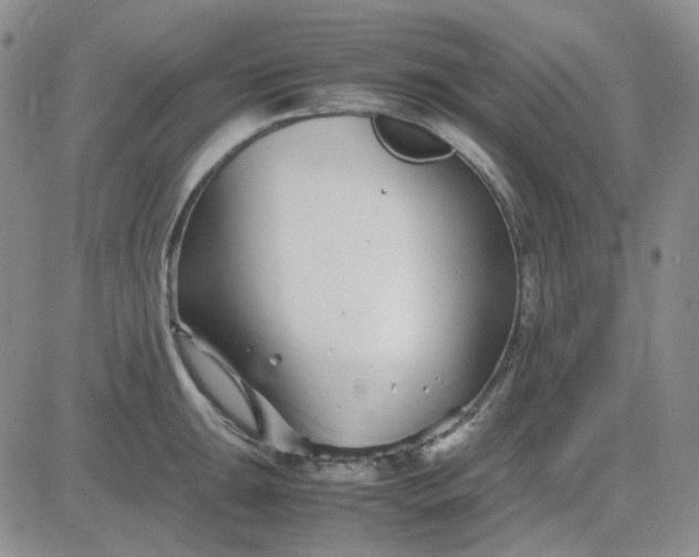X0000083661047200702261136