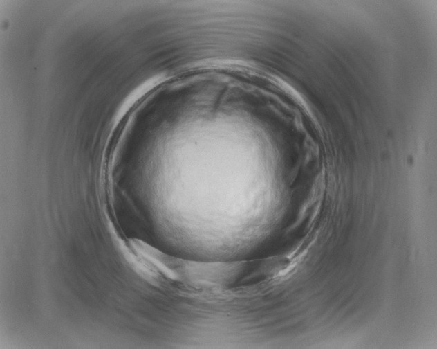 X0000083661050200702261137