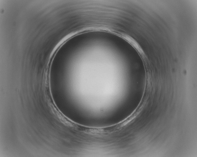 X0000083661052200702261137