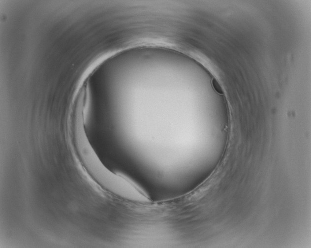 X0000083661056200702261137