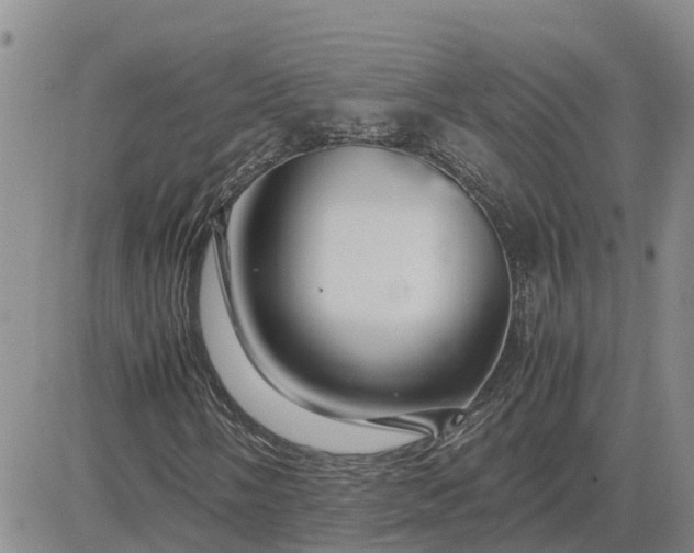 X0000083661058200702261136