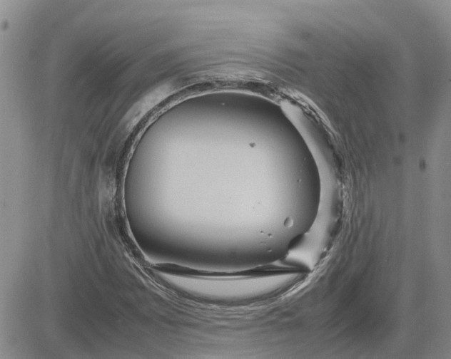 X0000083661065200702261136