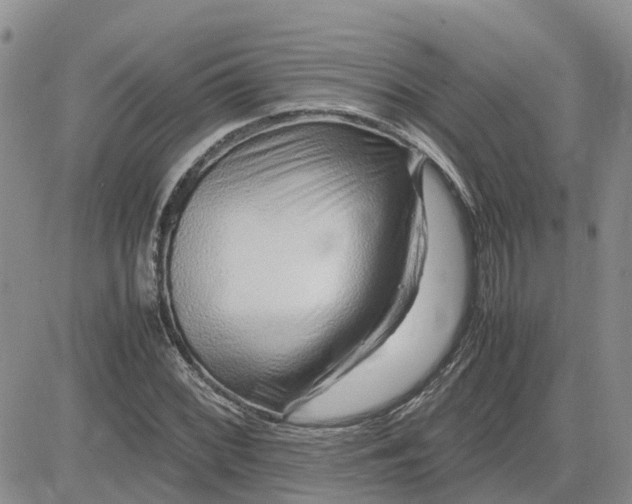 X0000083661068200702261136