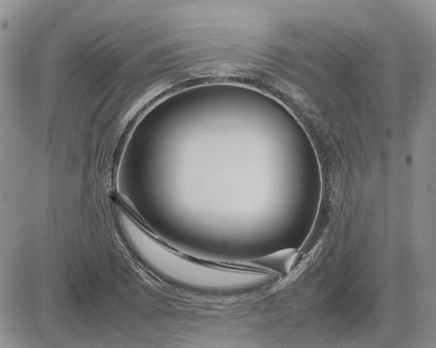 X0000083661073200702261136