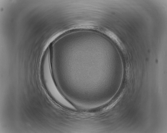 X0000083661077200702261136