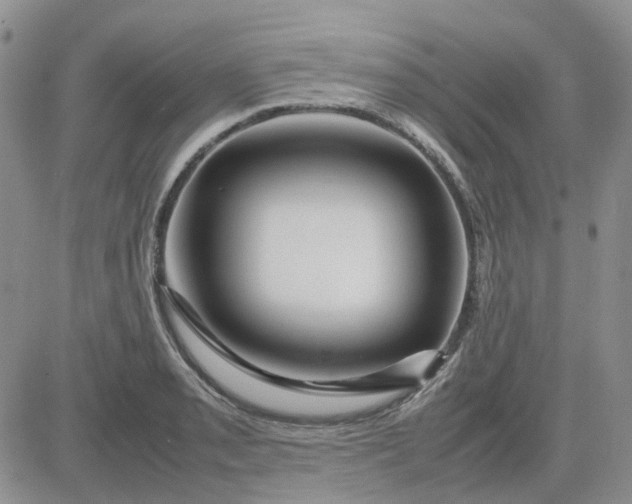 X0000083661085200702261135