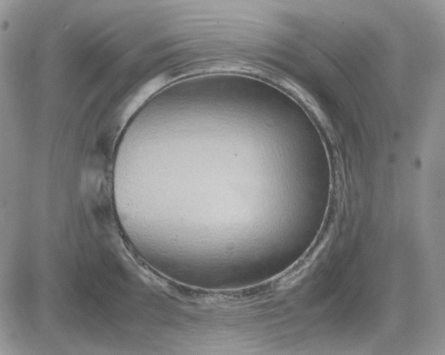 X0000083661097200702261135
