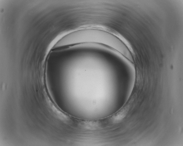 X0000083661102200702261135