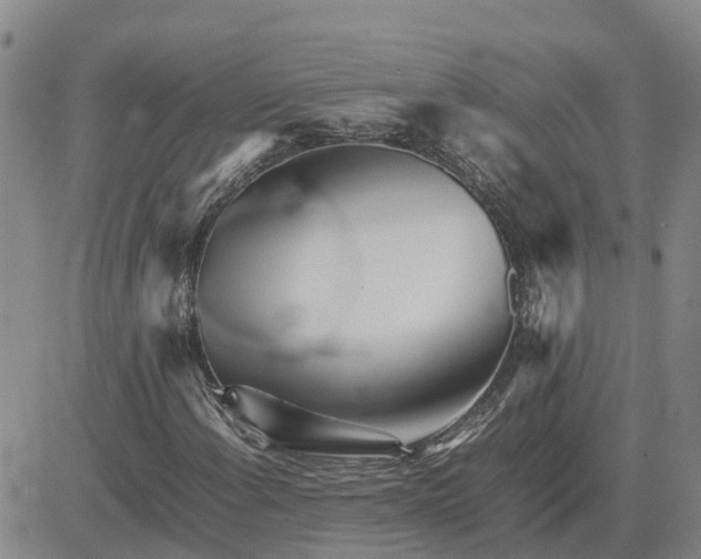 X0000083661108200702261134