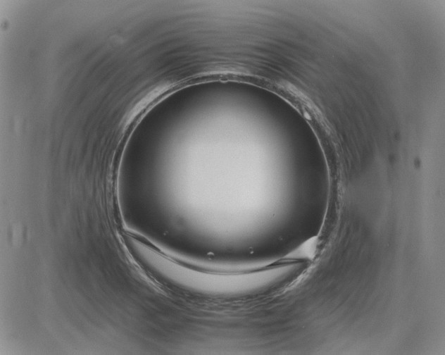 X0000083661129200702261135
