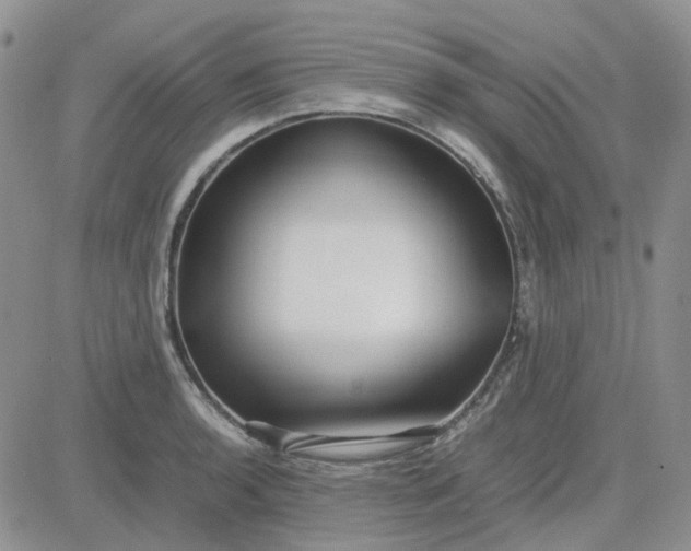 X0000083661136200702261135